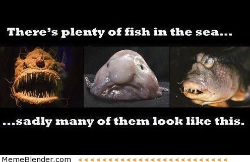 jokes about dating sites